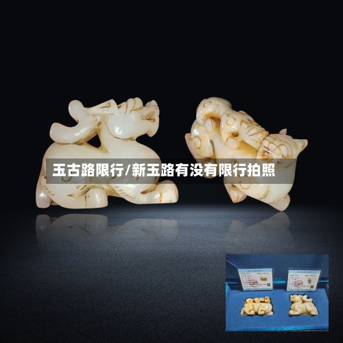 玉古路限行/新玉路有没有限行拍照