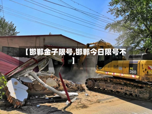 【邯郸金子限号,邯郸今日限号不】-第3张图片