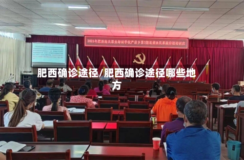 肥西确诊途径/肥西确诊途径哪些地方-第2张图片