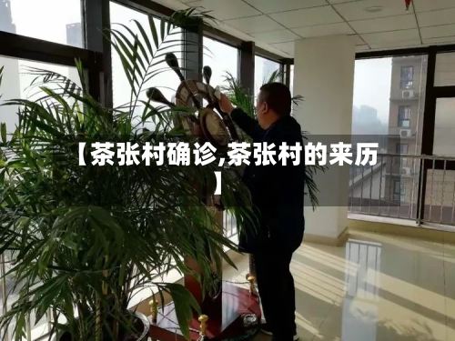 【茶张村确诊,茶张村的来历】