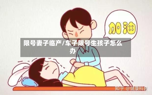 限号妻子临产/车子限号生孩子怎么办