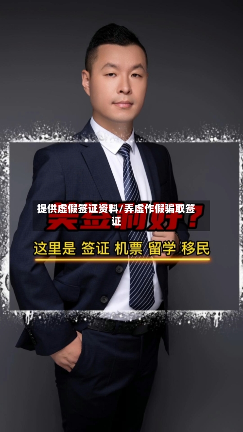 提供虚假签证资料/弄虚作假骗取签证