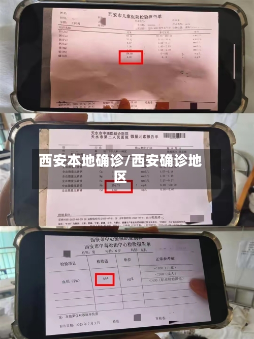 西安本地确诊/西安确诊地区
