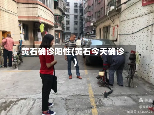 黄石确诊阳性(黄石今天确诊)