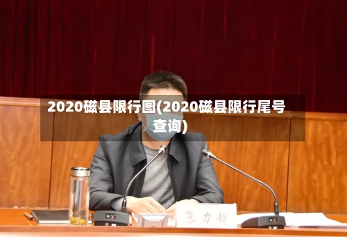 2020磁县限行图(2020磁县限行尾号查询)-第2张图片