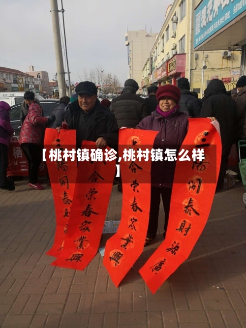 【桃村镇确诊,桃村镇怎么样】-第2张图片