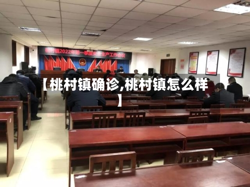 【桃村镇确诊,桃村镇怎么样】-第3张图片