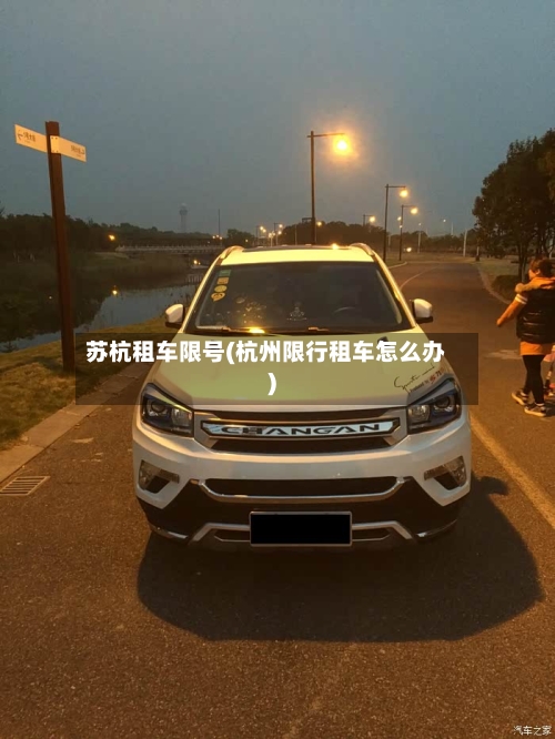 苏杭租车限号(杭州限行租车怎么办)-第3张图片