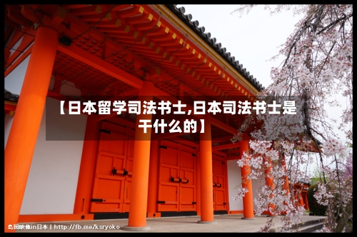 【日本留学司法书士,日本司法书士是干什么的】-第2张图片