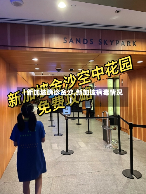 【新加坡确诊金沙,新加坡病毒情况】