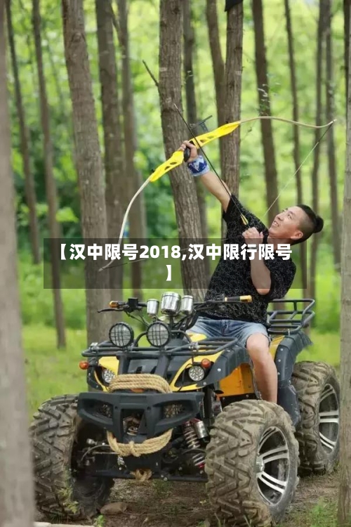 【汉中限号2018,汉中限行限号】