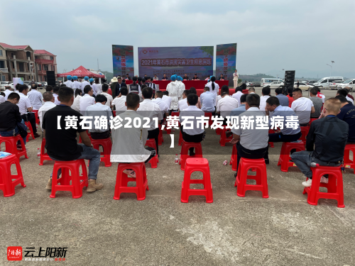 【黄石确诊2021,黄石市发现新型病毒】-第2张图片